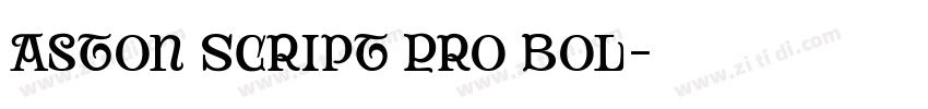 Aston Script Pro Bol字体转换 Aston Script Pro Bol字体转换